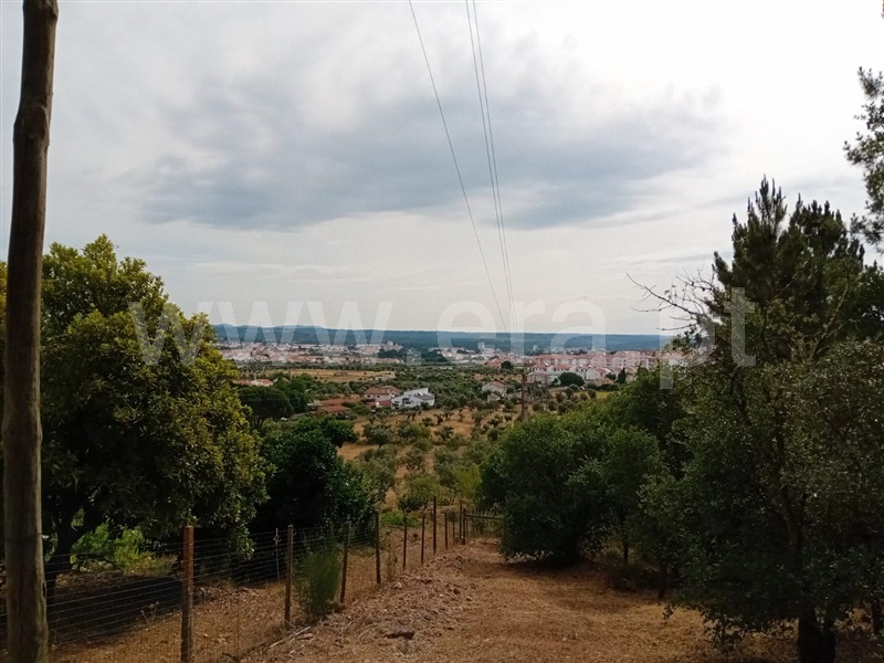 Terreno para Construção  Abrantes, São Lourenço - 1259822 - 3