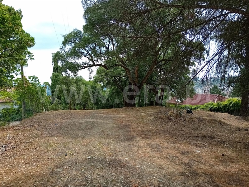 Terreno para Construção  Abrantes, São Lourenço - 1259822 - 8