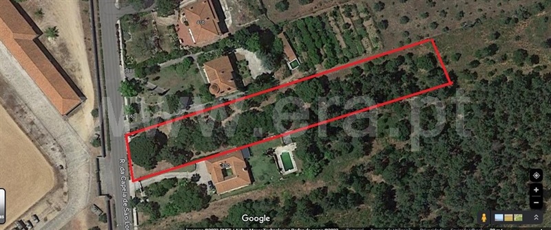 Terreno para Construção  Abrantes, São Lourenço - 1259822 - 8