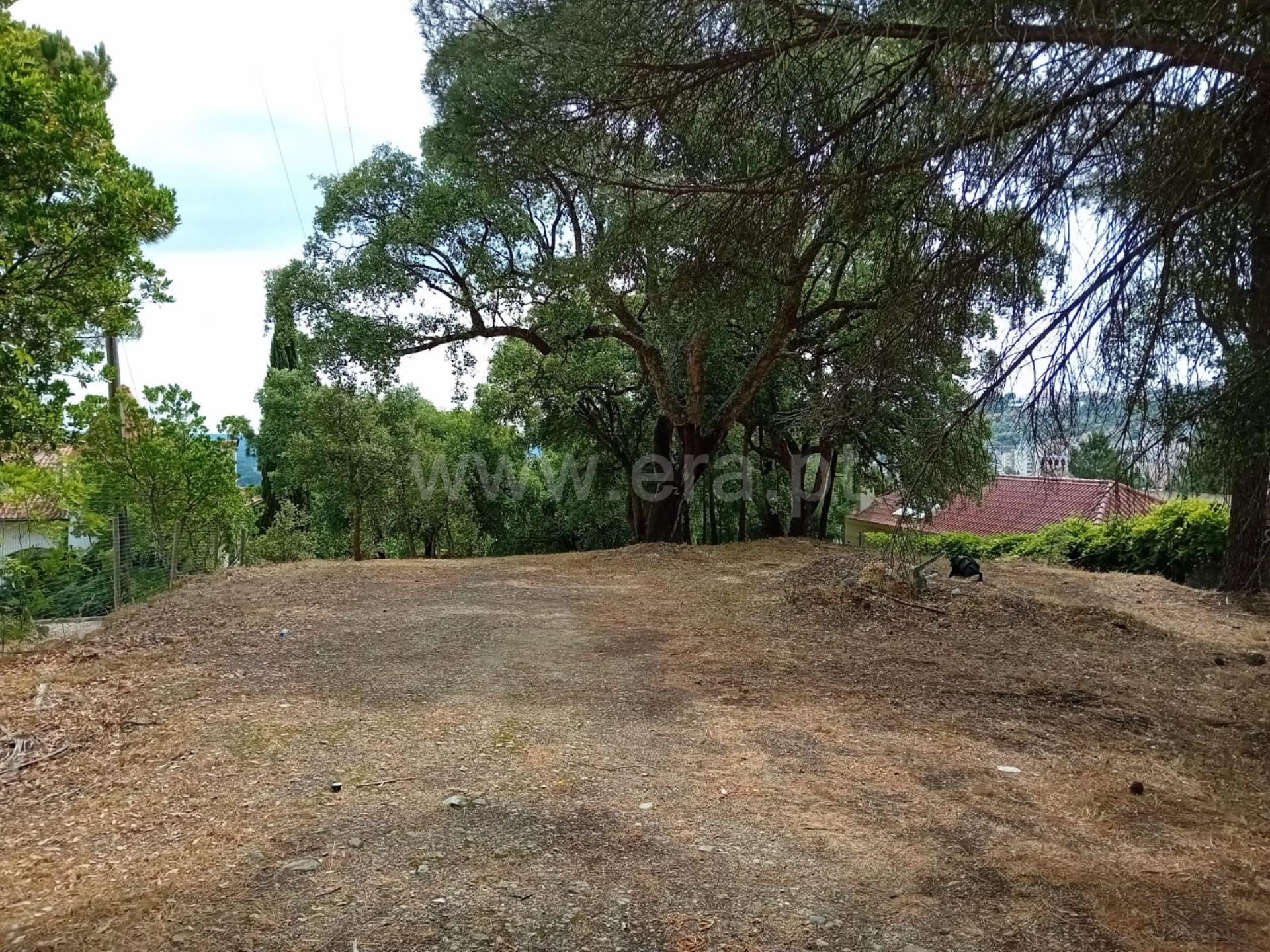 Land for sale in Abrantes, Portugal — €155,000