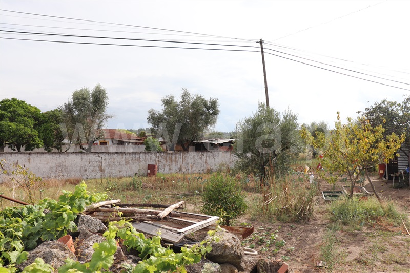 Terreno para Construção  Abrantes, Tramagal - 1198712 - 3