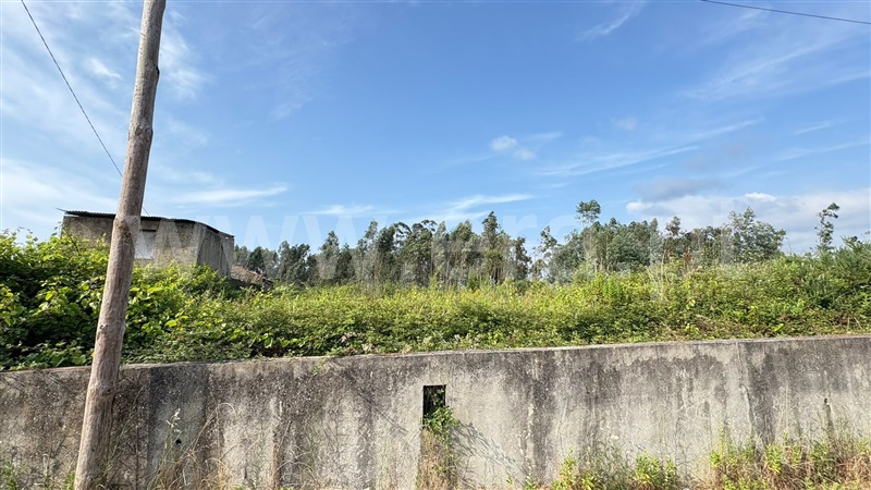 Terreno para Construção / Águeda, Aguada de Cima