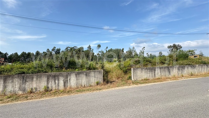 Terreno com ruina  Águeda, Aguada de Cima - 1489796 - 3