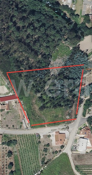 Terreno com ruina  Águeda, Aguada de Cima - 1489796 - 6
