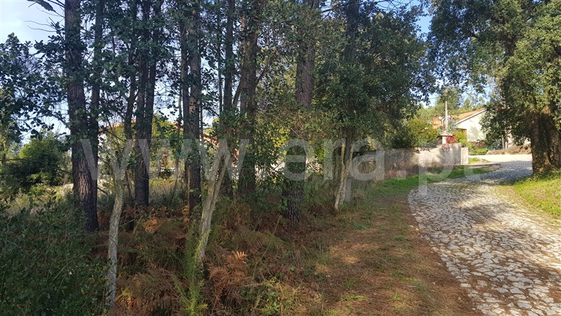 Terreno para Construção / Águeda, Macinhata do Vouga
