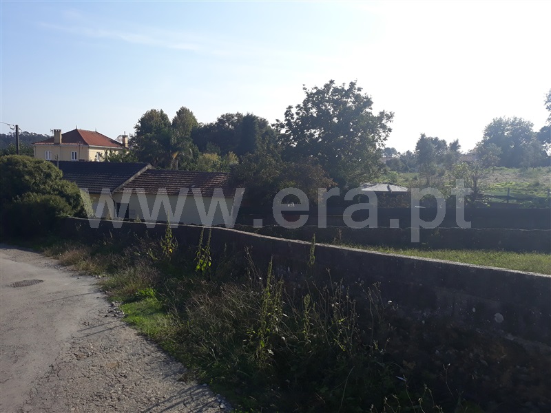 Terreno para Construção / Águeda, Macinhata do Vouga
