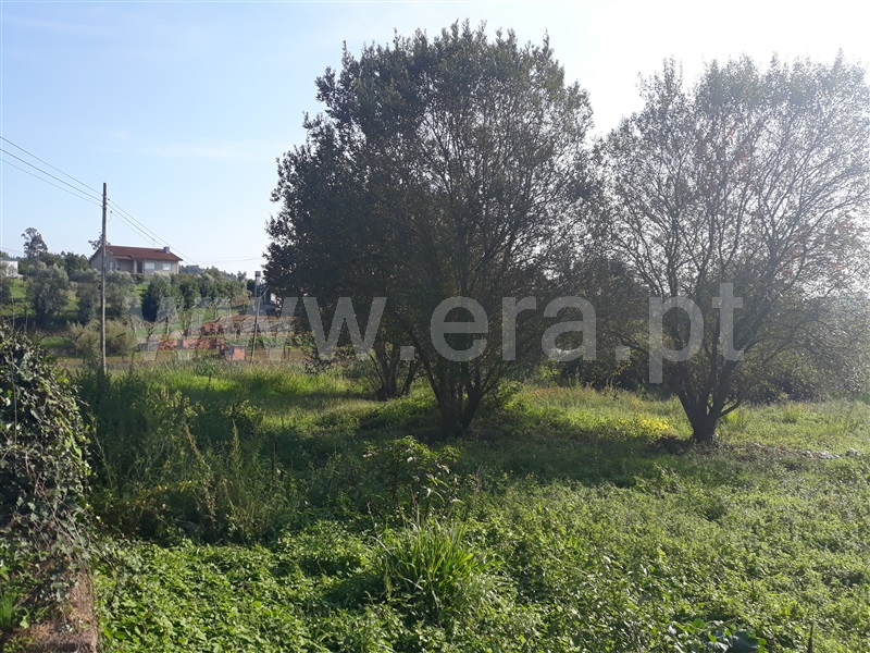 Terreno para Construção  Águeda, Macinhata do Vouga - 1145599 - 3