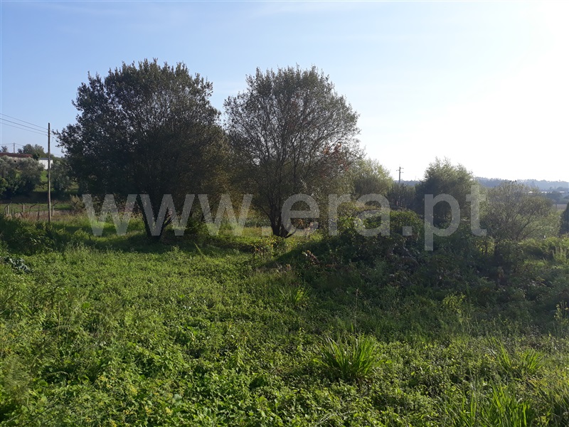 Terreno para Construção  Águeda, Macinhata do Vouga - 1145599 - 4