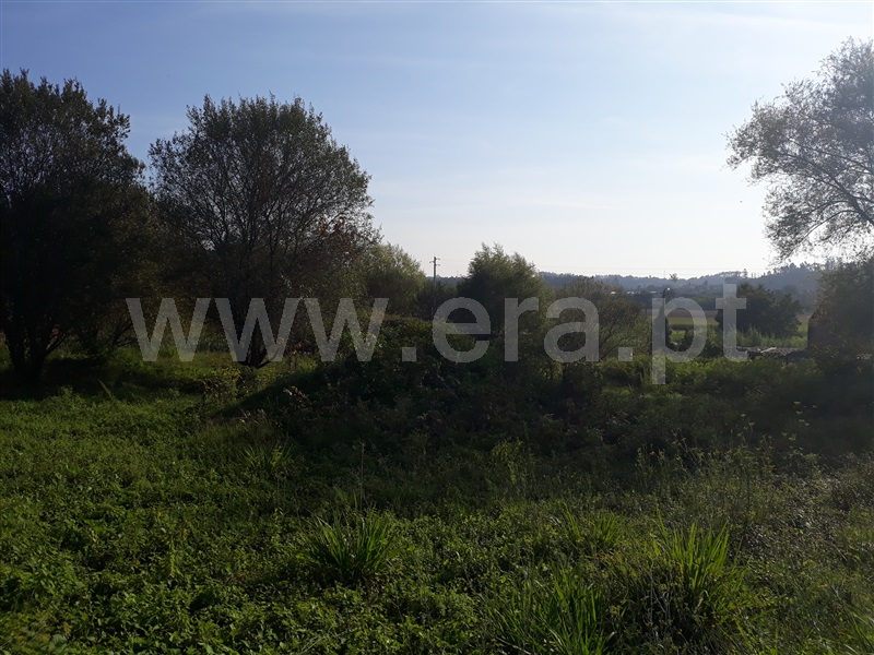 Terreno para Construção  Águeda, Macinhata do Vouga - 1145599 - 5