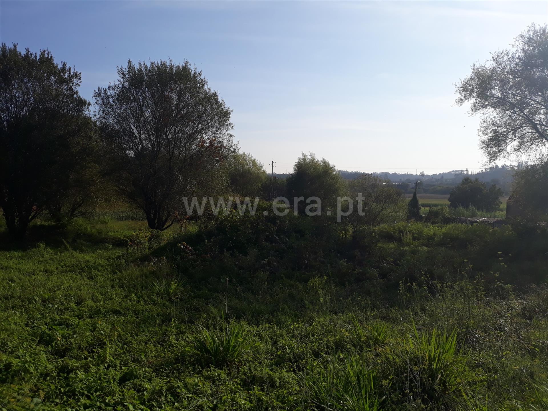 Land for sale in Águeda, Portugal — €80,500