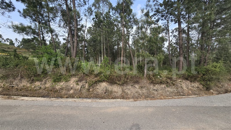 Terreno para Construção / Águeda, Trofa, Segadães e Lamas do Vouga