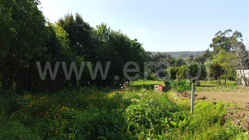 Terreno para Construção / Águeda, Trofa