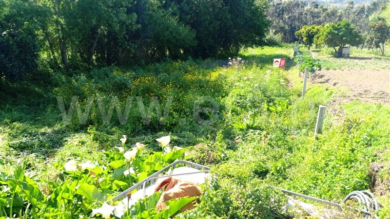 Terreno para Construção  Águeda, Trofa, Segadães e Lamas do Vouga - 1243622 - 2