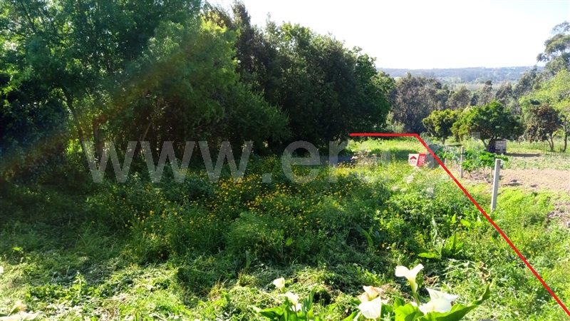 Terreno para Construção  Águeda, Trofa, Segadães e Lamas do Vouga - 1243622 - 3
