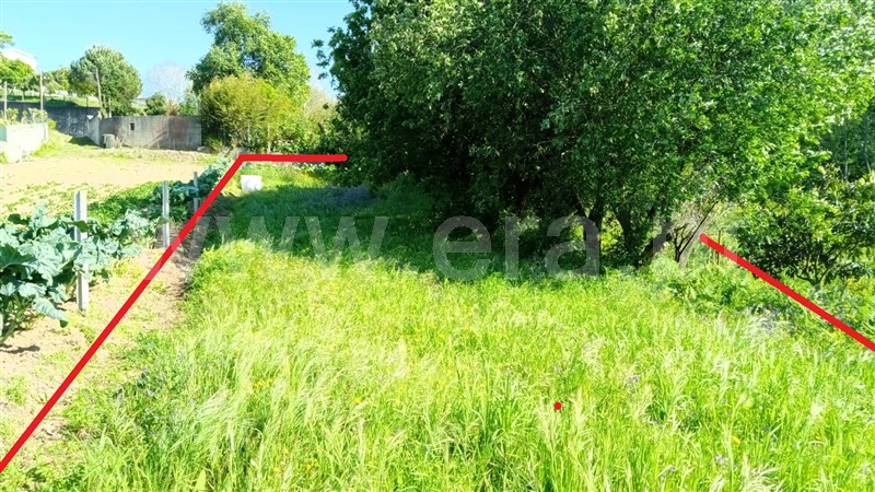 Terreno para Construção  Águeda, Trofa, Segadães e Lamas do Vouga - 1243622 - 4