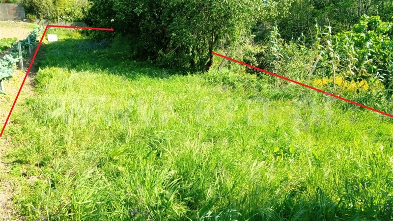 Terreno para Construção  Águeda, Trofa, Segadães e Lamas do Vouga - 1243622 - 5