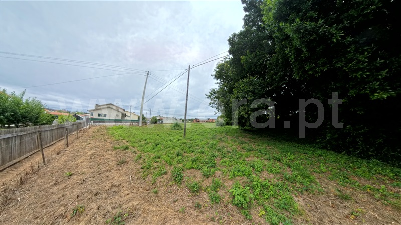 Terreno para Construção  Águeda, Valongo do Vouga - 1484417 - 4