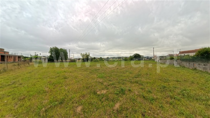 Terreno para Construção  Águeda, Valongo do Vouga - 1484417 - 6