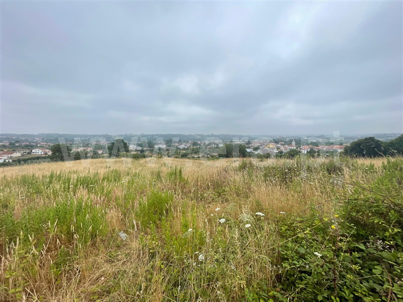 Terreno para Construção / Águeda, Veiga