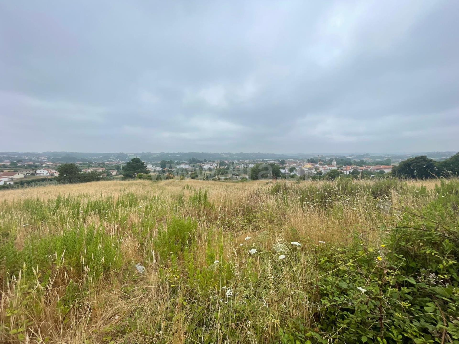 Land for sale in Águeda, Portugal — €500,000