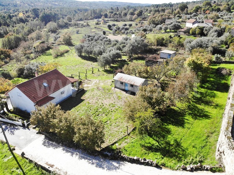 Terreno para Construção / Aguiar da Beira, Pinheiro