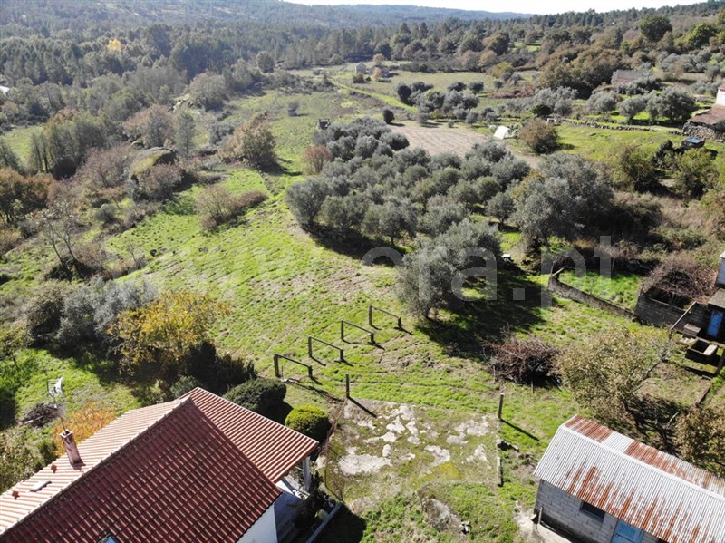 Terreno para Construção  Aguiar da Beira, Aguiar da Beira - 1286955 - 3