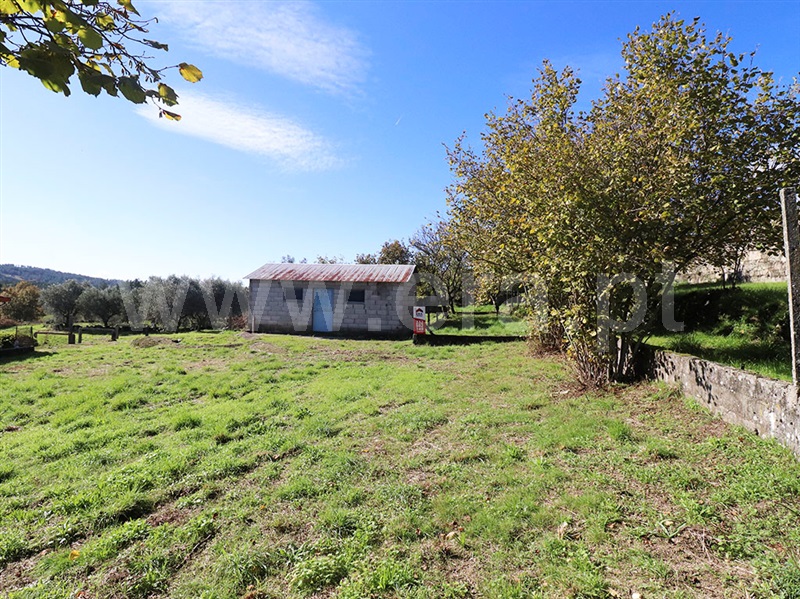 Terreno para Construção  Aguiar da Beira, Aguiar da Beira - 1286955 - 4