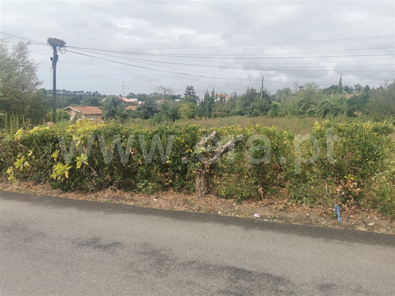 Terreno para Construção / Albergaria-a-Velha, Angeja