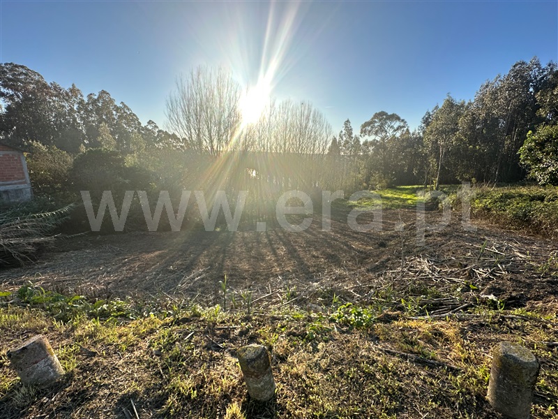 Terreno para Construção  Albergaria-a-Velha, Angeja - 1277641 - 1