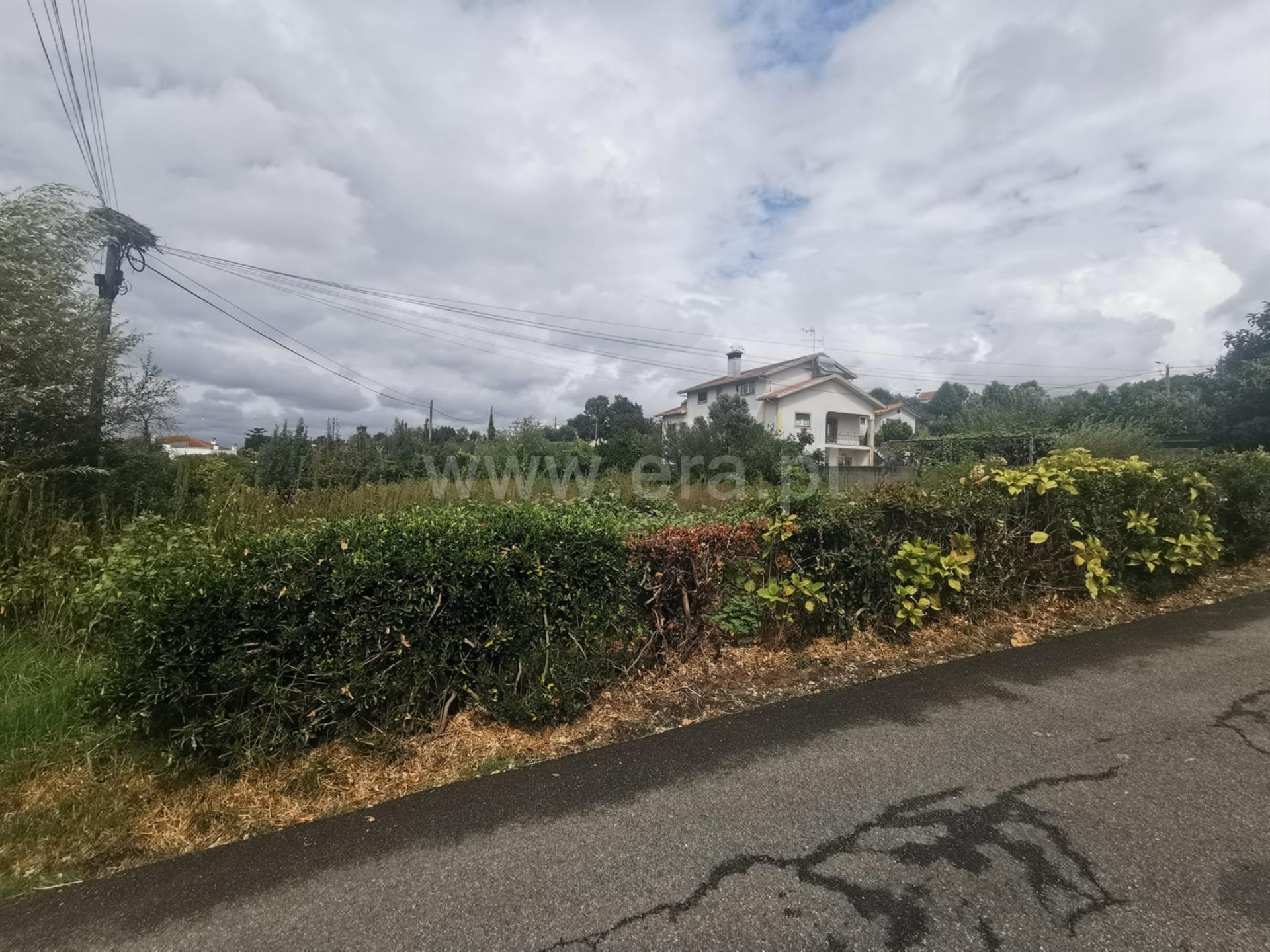 Land for sale in Albergaria-a-Velha, Portugal — €72,500