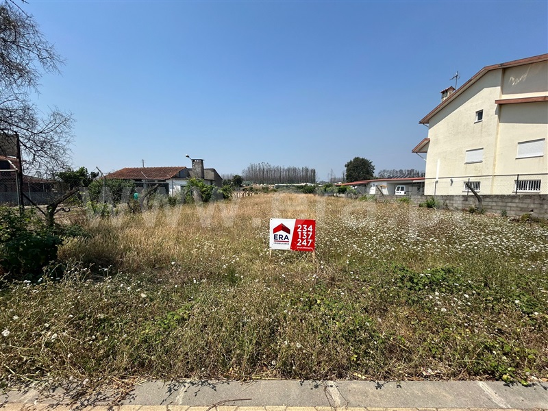 Terreno para Construção / Albergaria-a-Velha, Assilhó