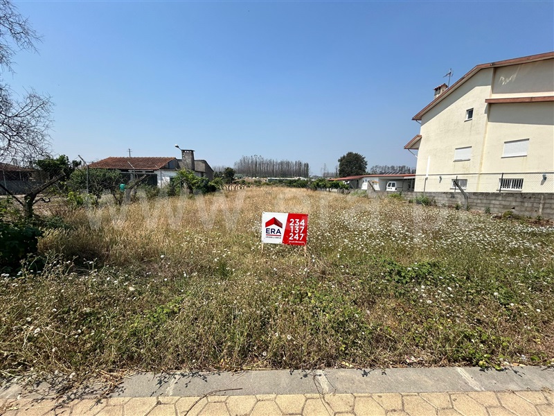Terreno para Construção  Albergaria-a-Velha, Assilhó - 1490930 - 4