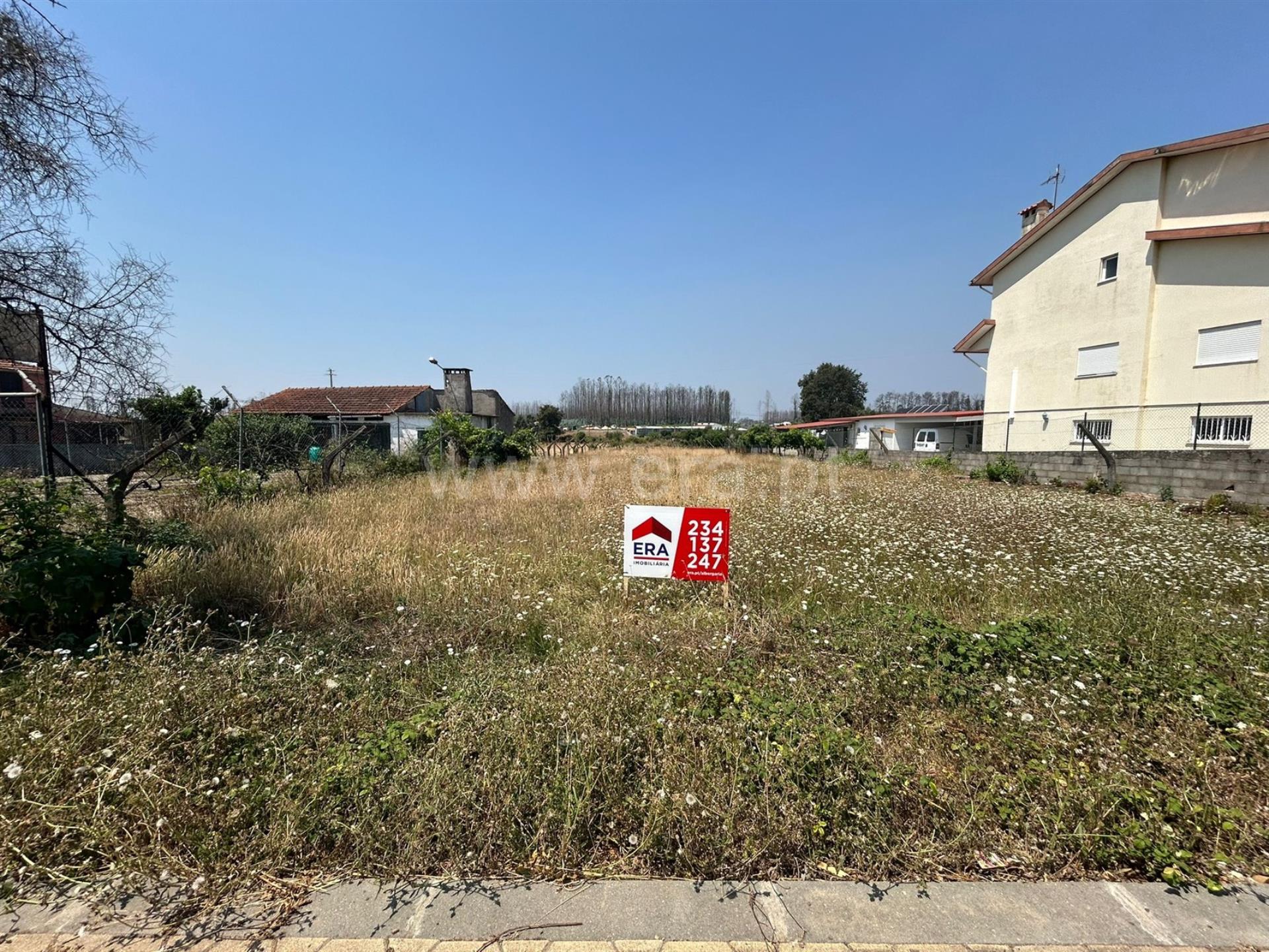 Land for sale in Albergaria-a-Velha, Portugal — €55,000