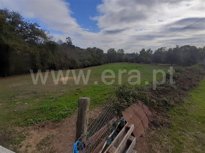 Terreno para Construção / Albergaria-a-Velha, Beduído