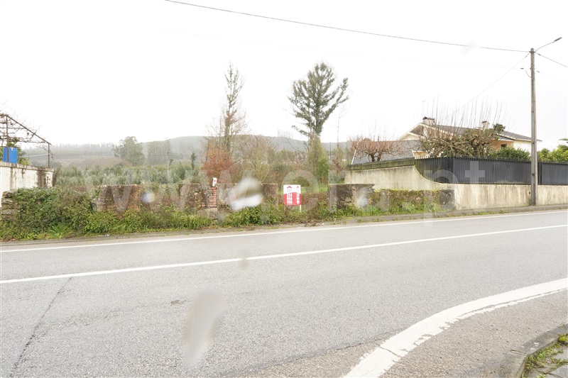Terreno para Construção / Albergaria-a-Velha, Branca