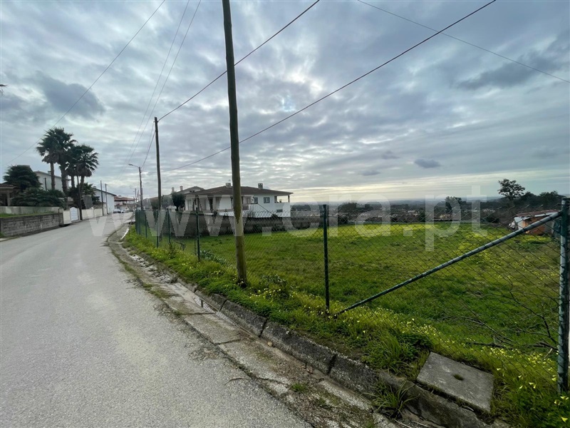 Terreno para Construção / Albergaria-a-Velha, Chaque