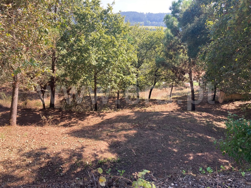 Terreno para Construção / Albergaria-a-Velha, Fontes
