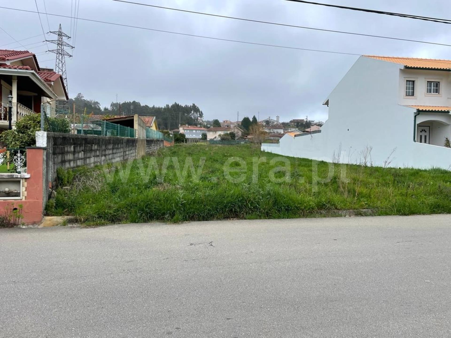 Terreno em Albergaria-a-Velha