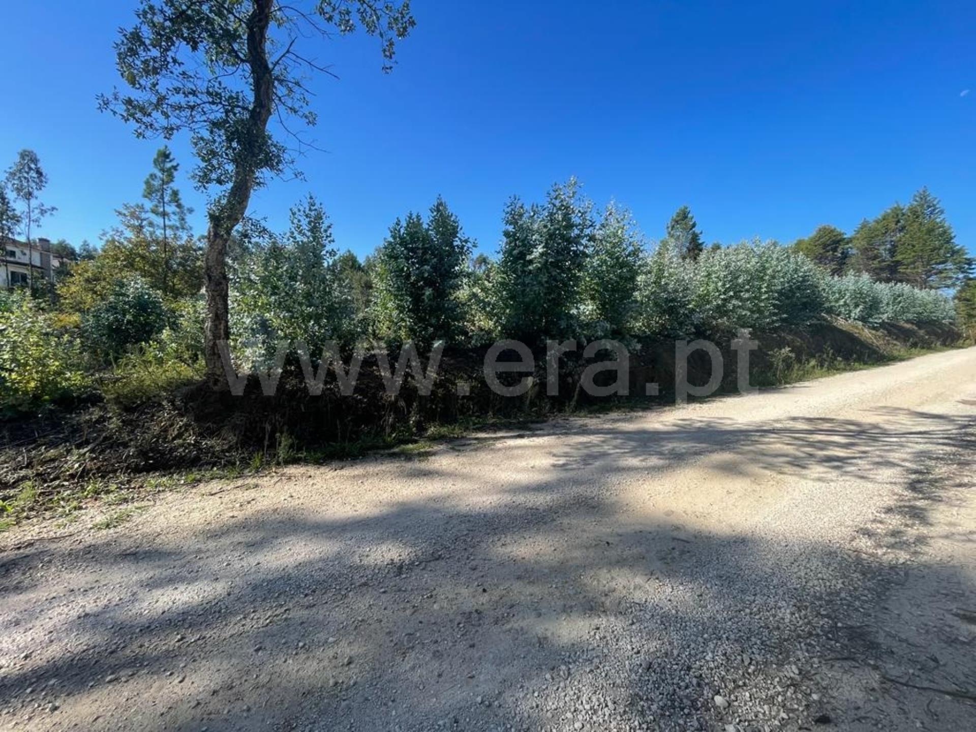 Land for sale in Albergaria-a-Velha, Portugal — €110,000