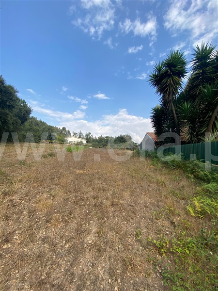 Terreno para Construção  Albergaria-a-Velha, Loure - 1433850 - 2https://mediaredir.era.pt/ImageResizeHandler.ashx?tipo=1&checkMax=1&imovel=1433850&foto=17585458&m=2