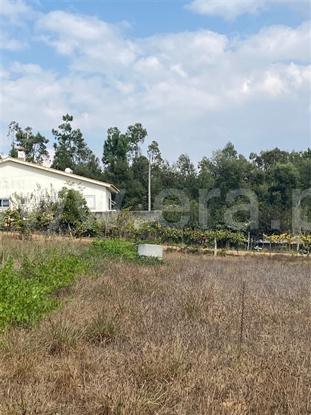 Terreno para Construção  Albergaria-a-Velha, Loure - 1433850 - 3