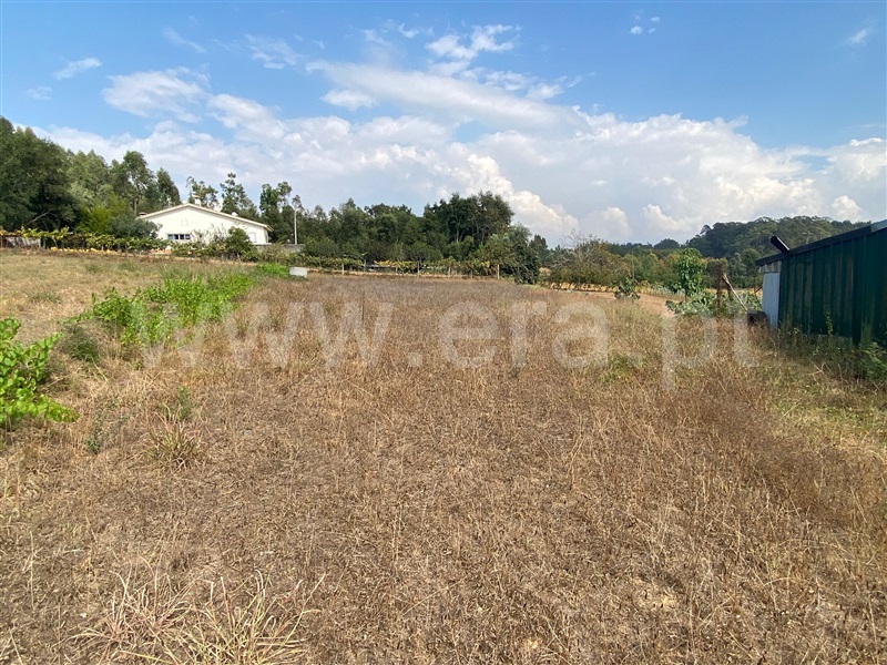 Terreno para Construção  Albergaria-a-Velha, Loure - 1433850 - 4
