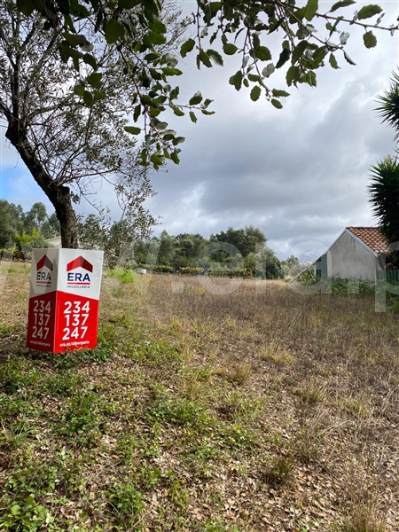 Terreno para Construção / Albergaria-a-Velha, Loure