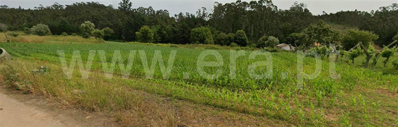 Terreno para Construção / Albergaria-a-Velha, Loure