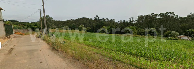 Terreno para Construção / Albergaria-a-Velha, Loure
