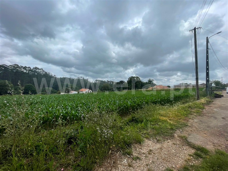 Terreno para Construção / Albergaria-a-Velha, Loure