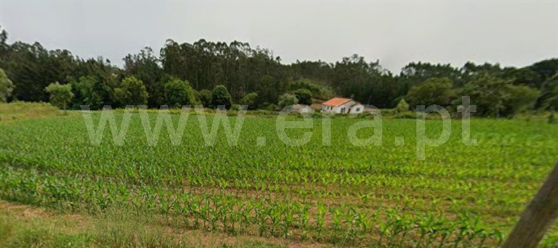 Terreno para Construção / Albergaria-a-Velha, Loure