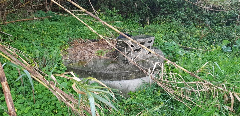 Terreno para Construção  Albergaria-a-Velha, São João de Loure e Frossos - 1248333 - 7