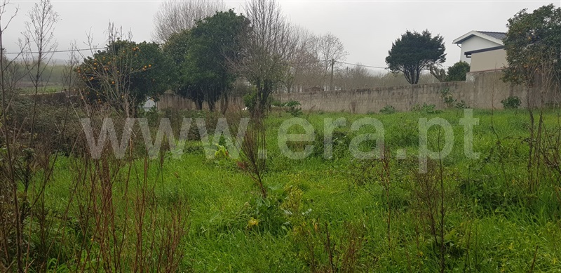 Terreno para Construção  Albergaria-a-Velha, São João de Loure e Frossos - 1248333 - 10