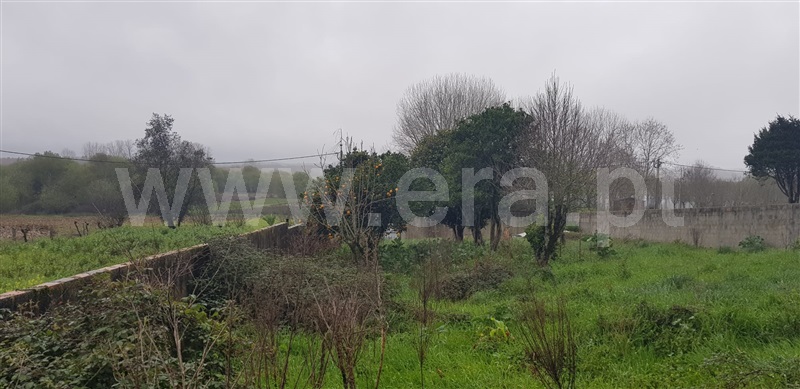 Terreno para Construção  Albergaria-a-Velha, São João de Loure e Frossos - 1248333 - 11